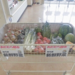 売店野菜